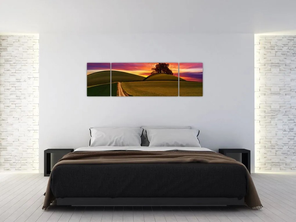 Obraz pola z zachodem słońca (170x50 cm)
