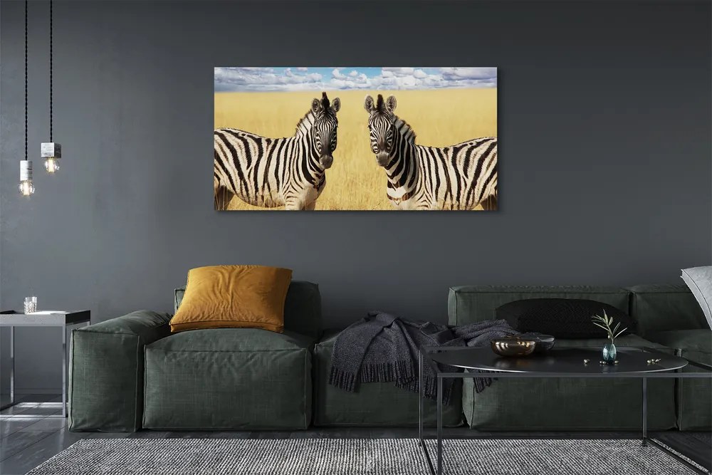 Obraz drukowany na płótnie Zebry na Polu
