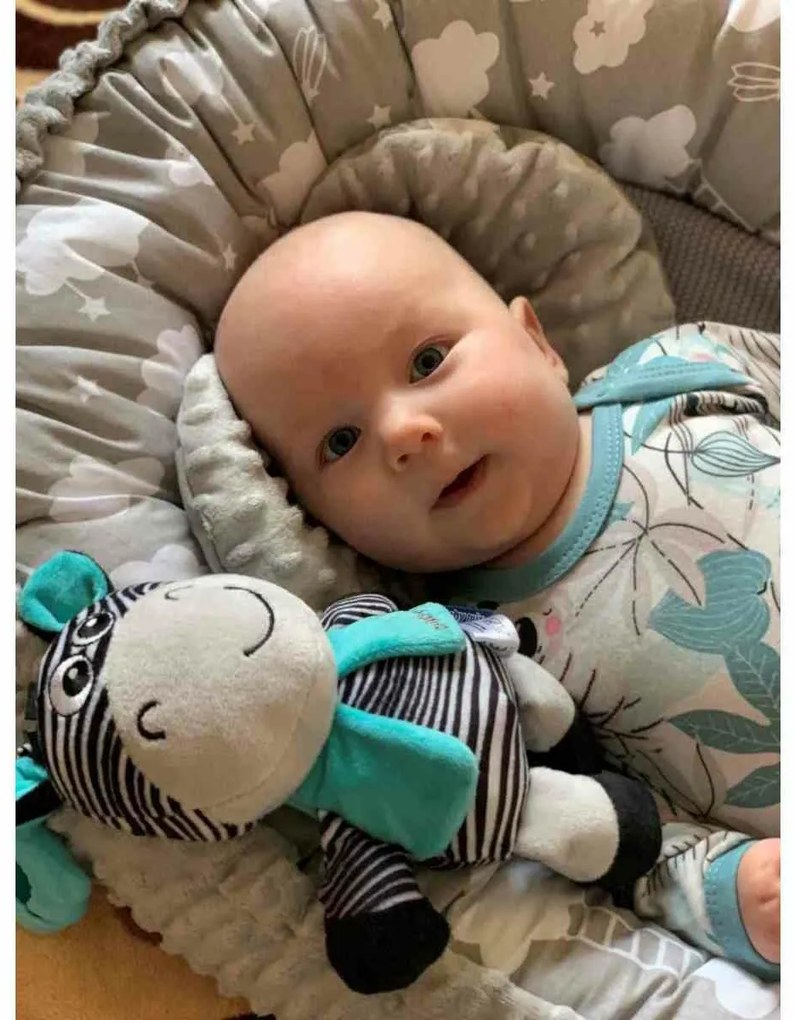 Baby Mix Edukacyjna zabawka pluszowa z klipsemZebra, 17 cm