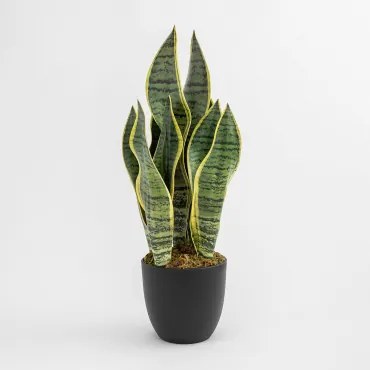 Dekoracyjna Sztuczna Roślina Sansevieria 40 Cm 40 Cm - Sklum