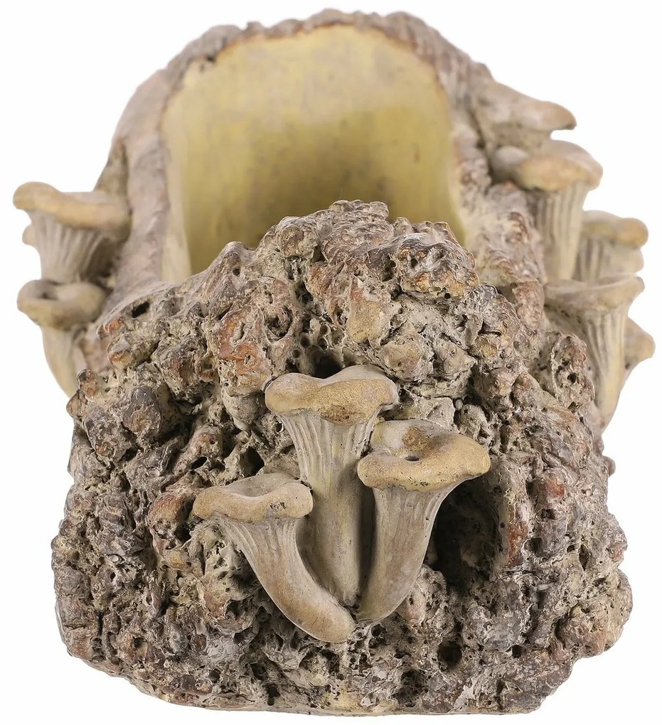 Opakowanie betonowe - skrzynka, drewno z grzybami,41 x 19 x 13 cm, brązowe