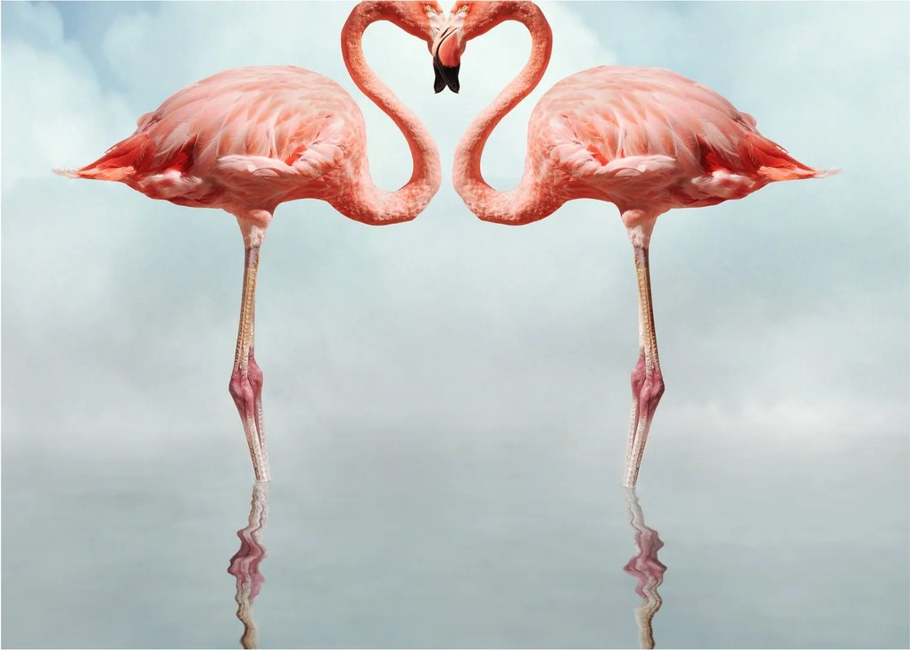 Obraz dwóch flamingów (70x50 cm)