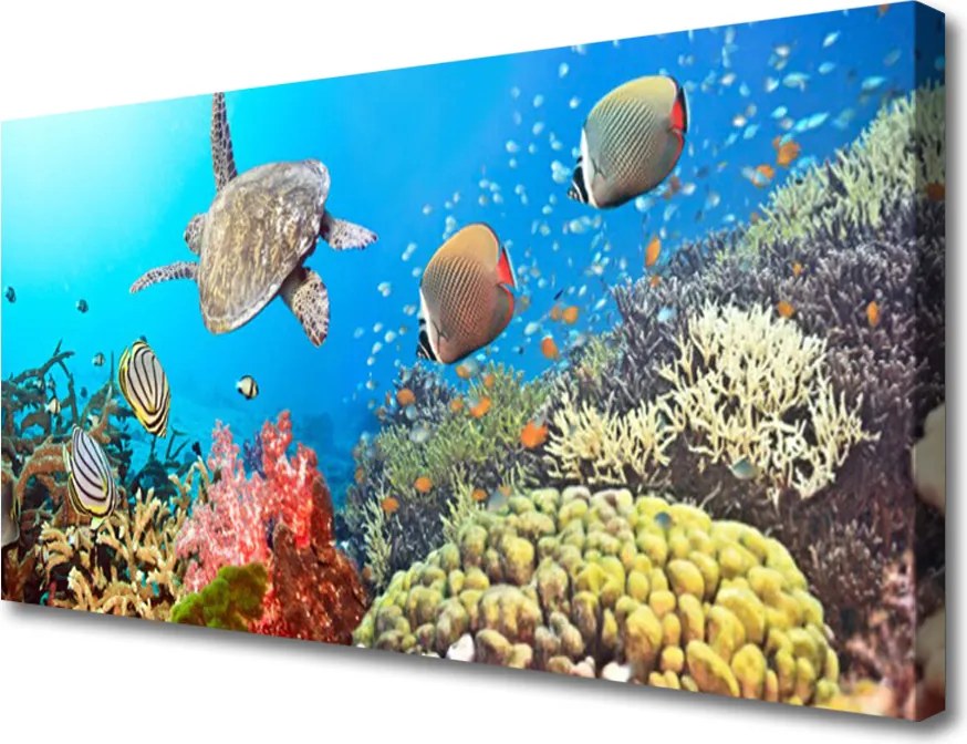 Obraz na płótnie Kolorowe Życie Rafy Koralowej