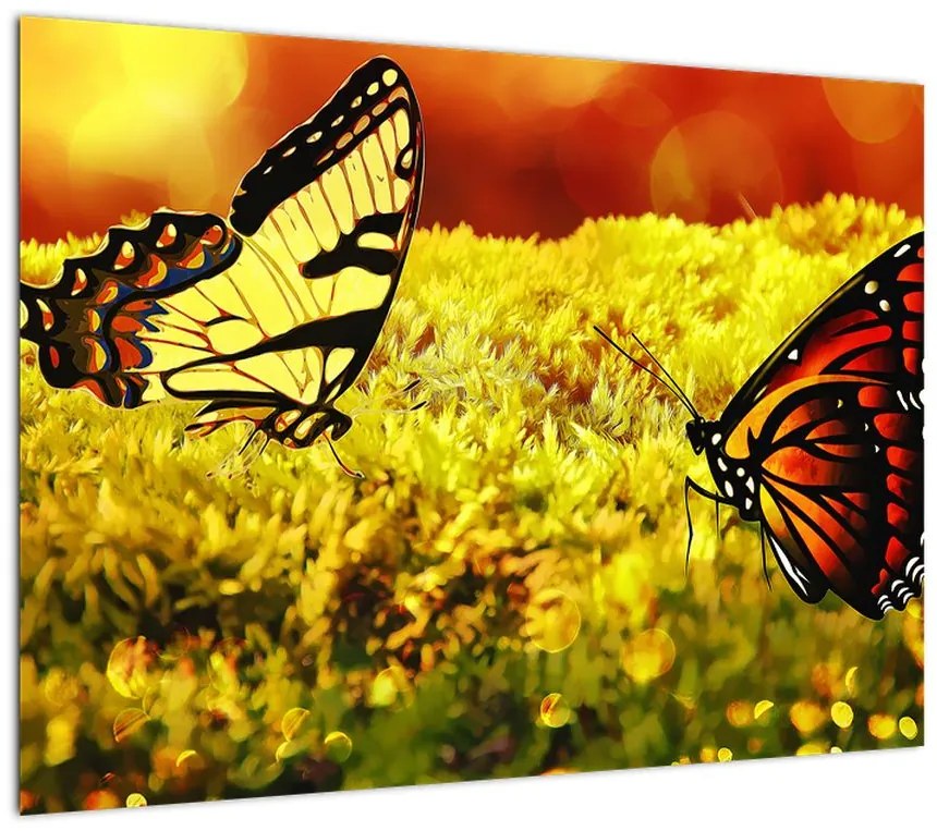 Obraz na szkle - motyle (70x50 cm)