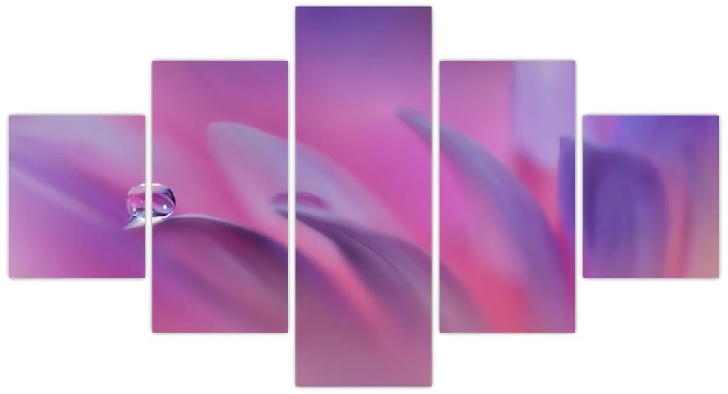 Obraz - Kropla na kwiecie (125x70 cm)