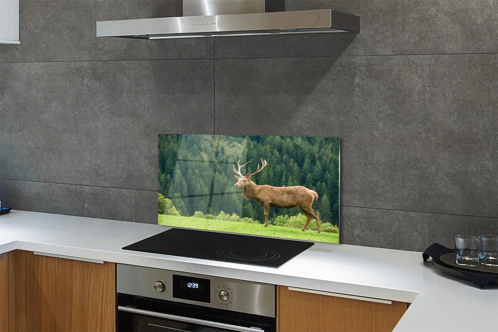 Panel nad Blat Kuchenny Jeleń na Otwartym Polu