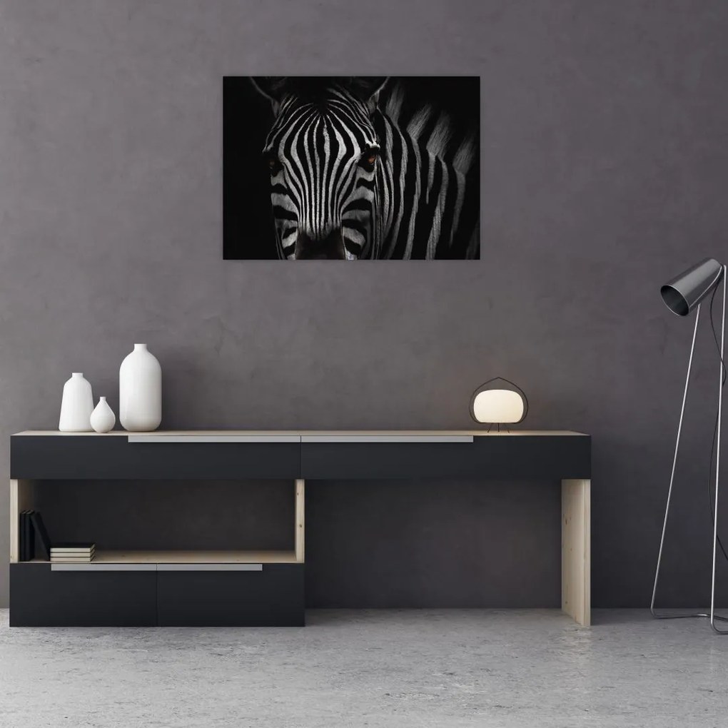 Obraz na szkle zebry (70x50 cm)