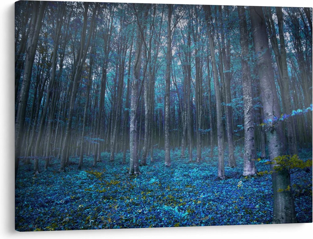 Obraz - Magiczny las (70x50 cm)