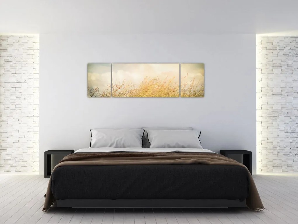 Obraz - Pole jesienią (170x50 cm)