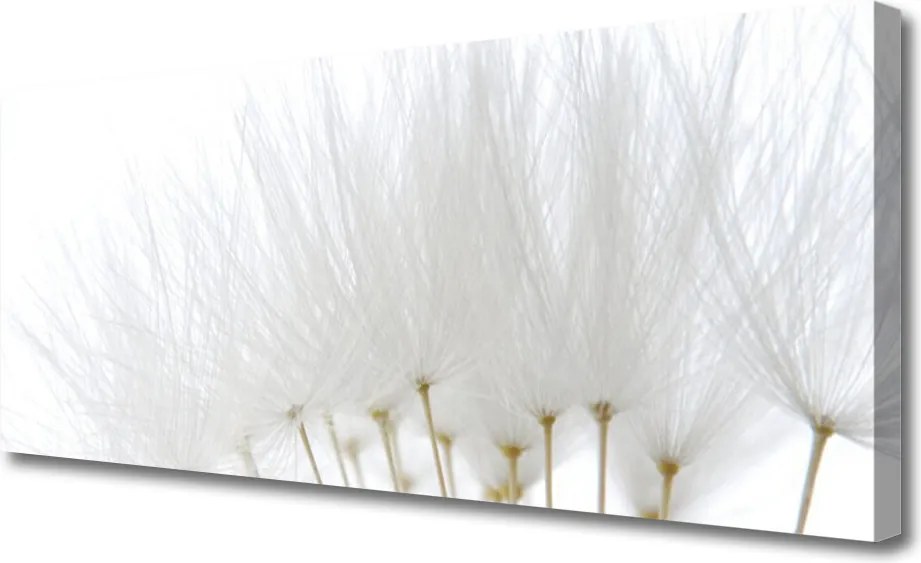 Obraz canvas na ścianę Kwiatowa Dekoracja Ścienna