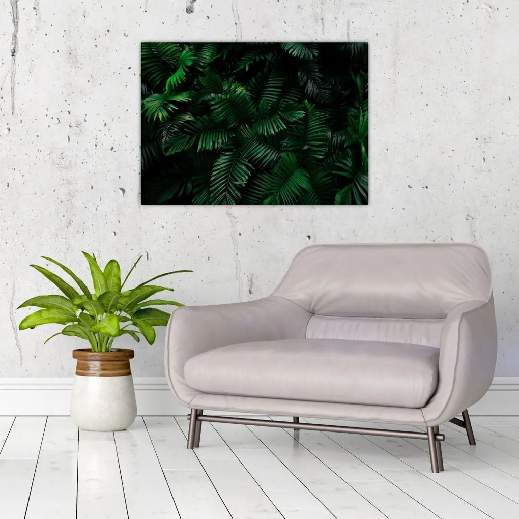 Obraz na szkle - Paprocie tropikalne (70x50 cm)