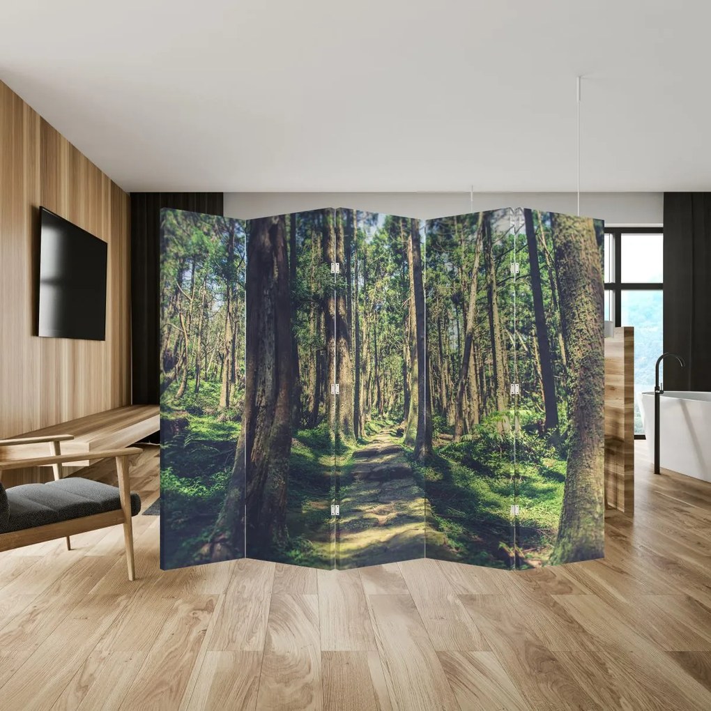 Parawan - Ścieżka wśród drzew (210x170 cm)