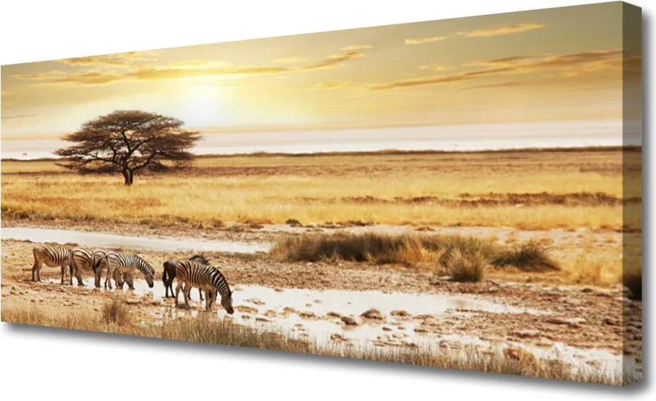 Duży obraz na płótnie Zebry na Afrykańskiej Sawannie