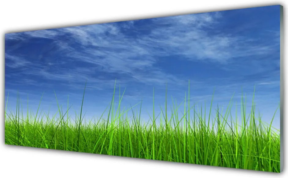Panel Kuchenny Horyzont Nad Zieloną Łąką