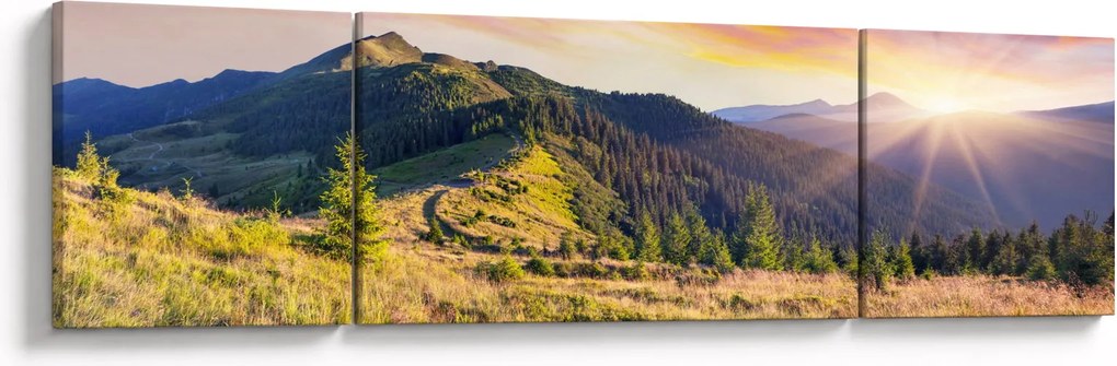 Obraz - Krajobraz leśny (170x50 cm)