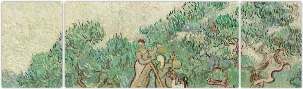 Obraz - Vincent van Gogh, The Olive Orchard, reprodukcje (170x50 cm)