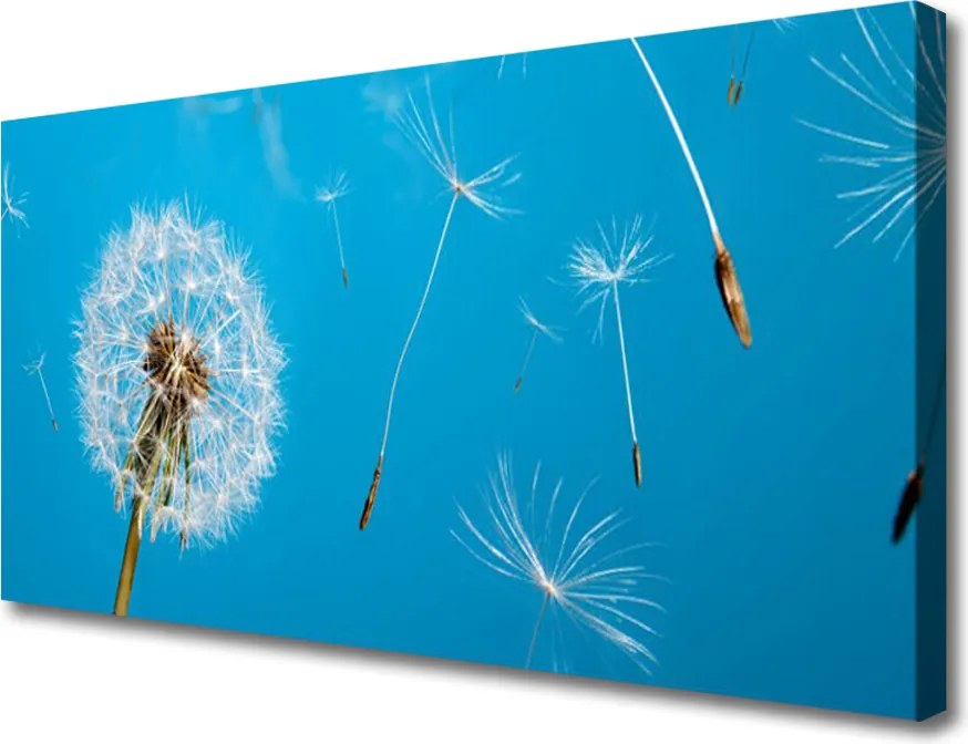 Obraz canvas na ścianę Ulotność Polnych Dmuchawców