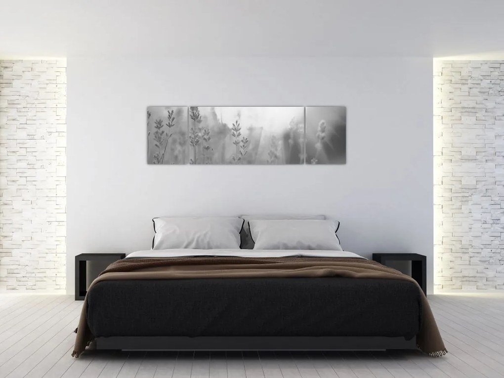 Obraz - Lawenda (170x50 cm)