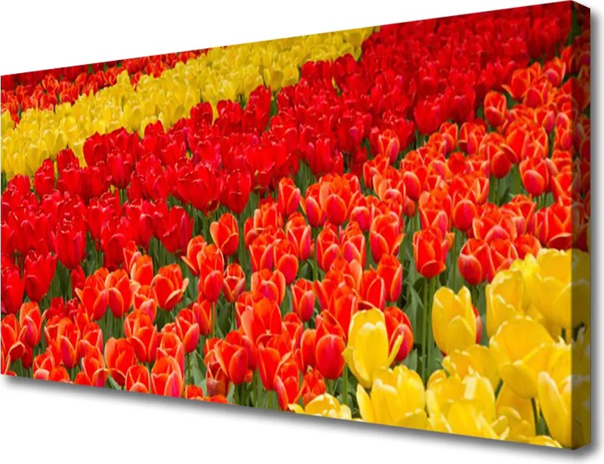 Obraz na płótnie Wiosenny Bukiet Tulipanów