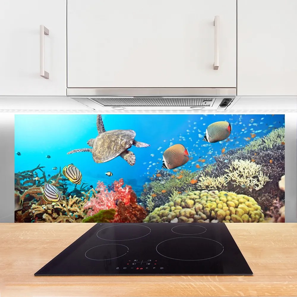 Panel Kuchenny Kolorowe Życie Rafy Koralowej