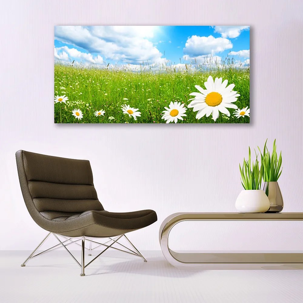 Obraz na płótnie Białe Stokrotki w Trawie