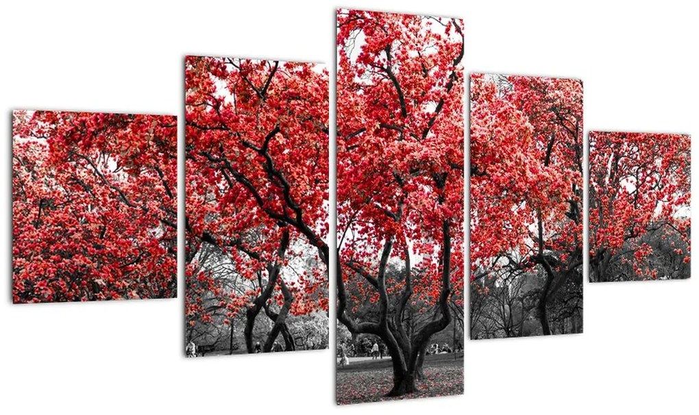 Obraz - Czerwone drzewa, Central Park, New York (125x70 cm)