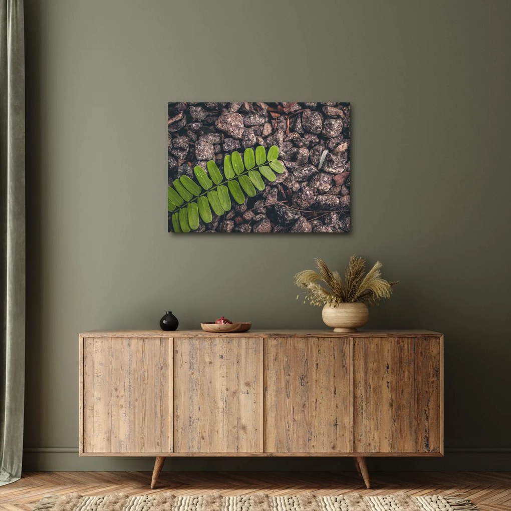 Obraz zielonej rośliny (70x50 cm)