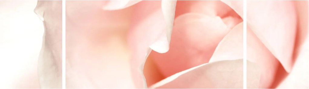 Obraz - Róża (170x50 cm)