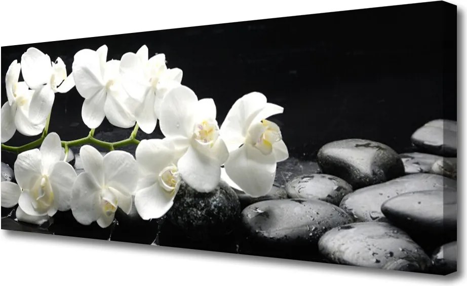 Obraz na płótnie Kwiat Lotosu i Kamienie Spa