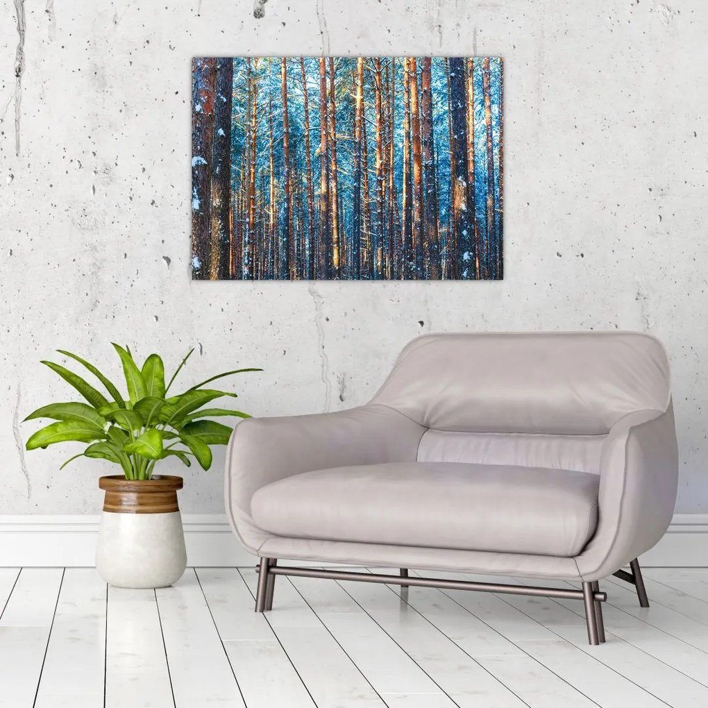 Obraz na szkle - Zimowy las (70x50 cm)