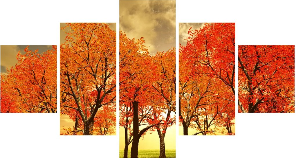 Obraz - Jesień (125x70 cm)