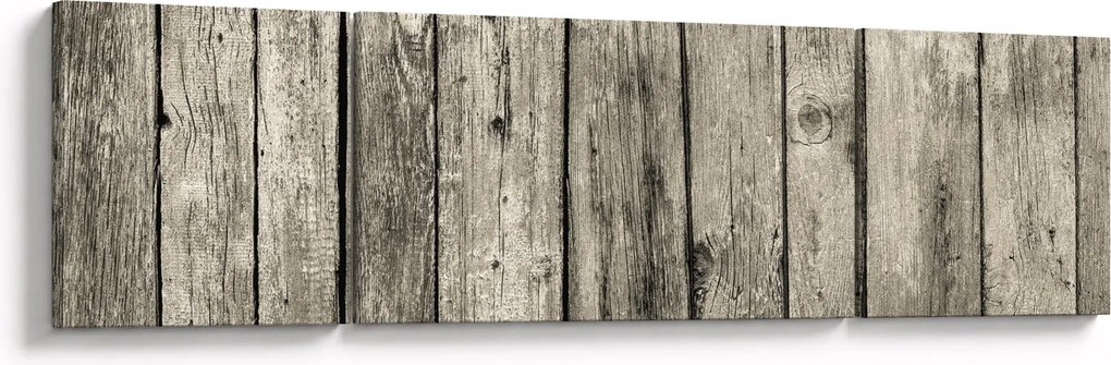 Obraz - Drzewo (170x50 cm)