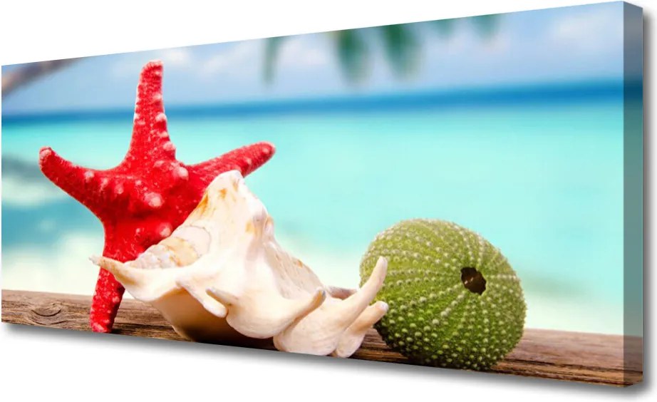 Obraz na płótnie Skarby Oceanicznej Głębi