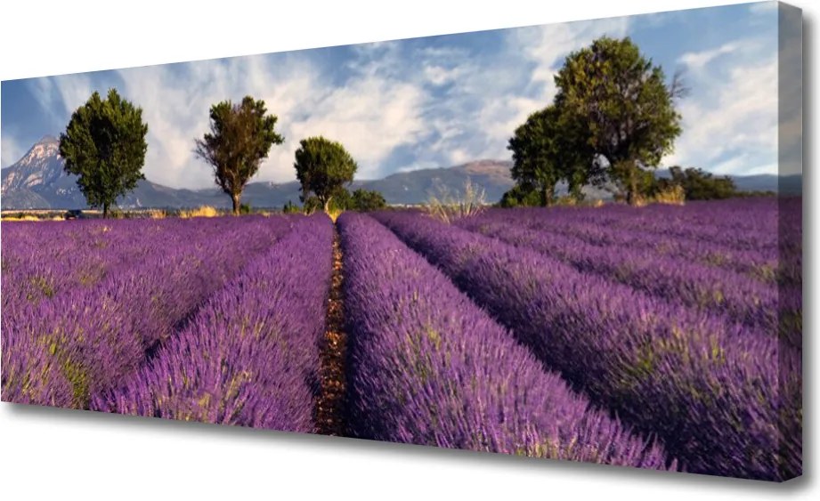 Zdjęcie na płótnie Sielska Polana z Drzewami