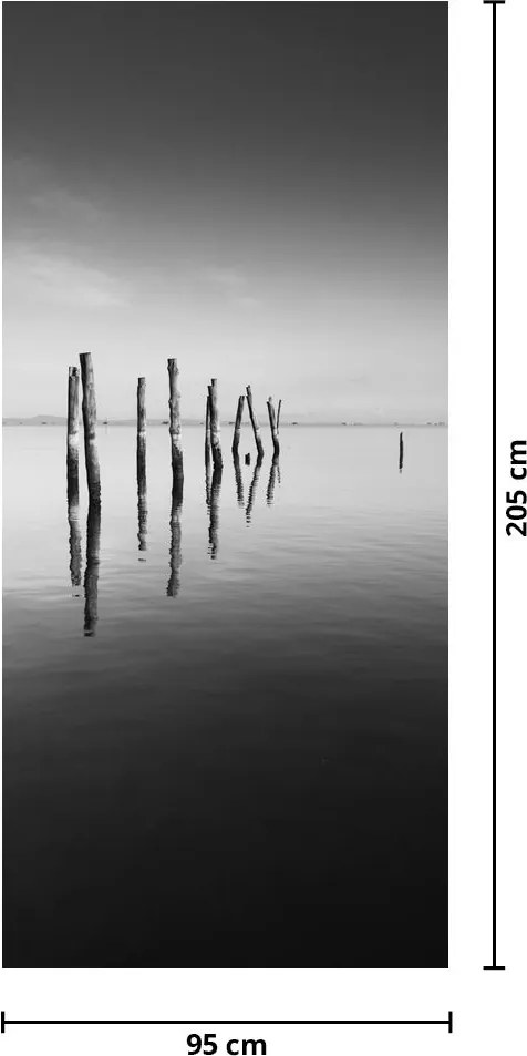 Fototapeta na drzwi - Czarno - biała powierzchnia wody (95x205cm)