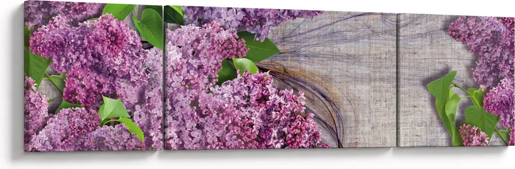 Obraz - Bez (170x50 cm)