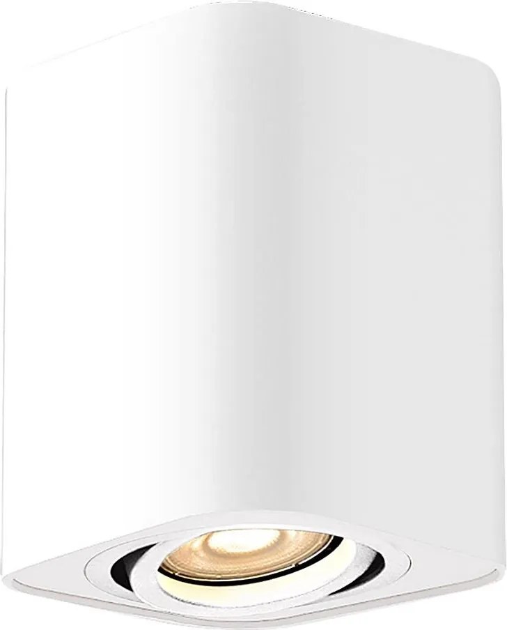 Rabalux 2050 - Oświetlenie punktowe KOBALD 1xGU10/42W/230V białe