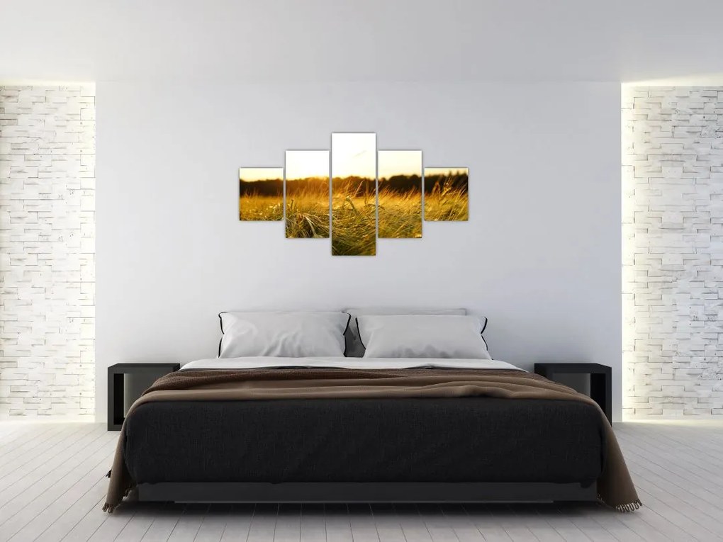 Obraz zroszonej trawy (125x70 cm)