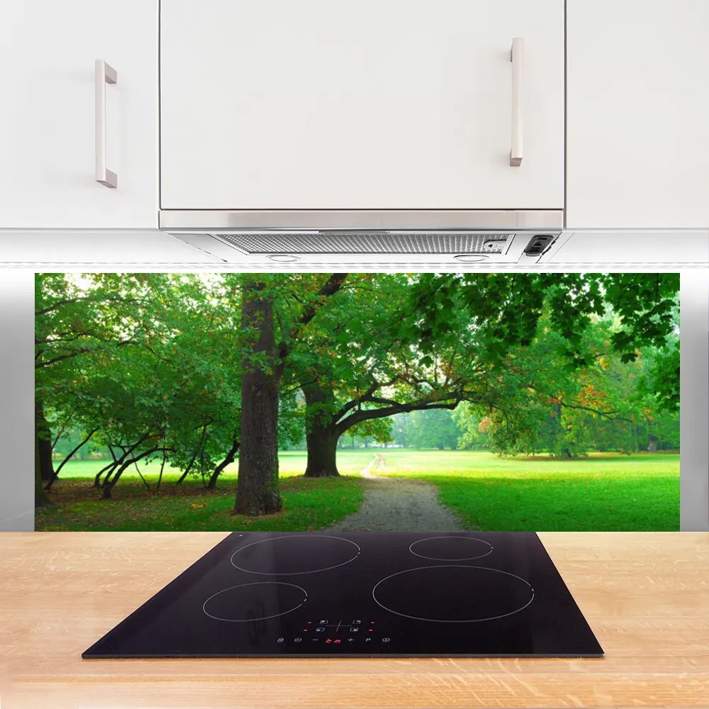 Szkło do Kuchni na Ścianę Aleja w Cieniu Drzew