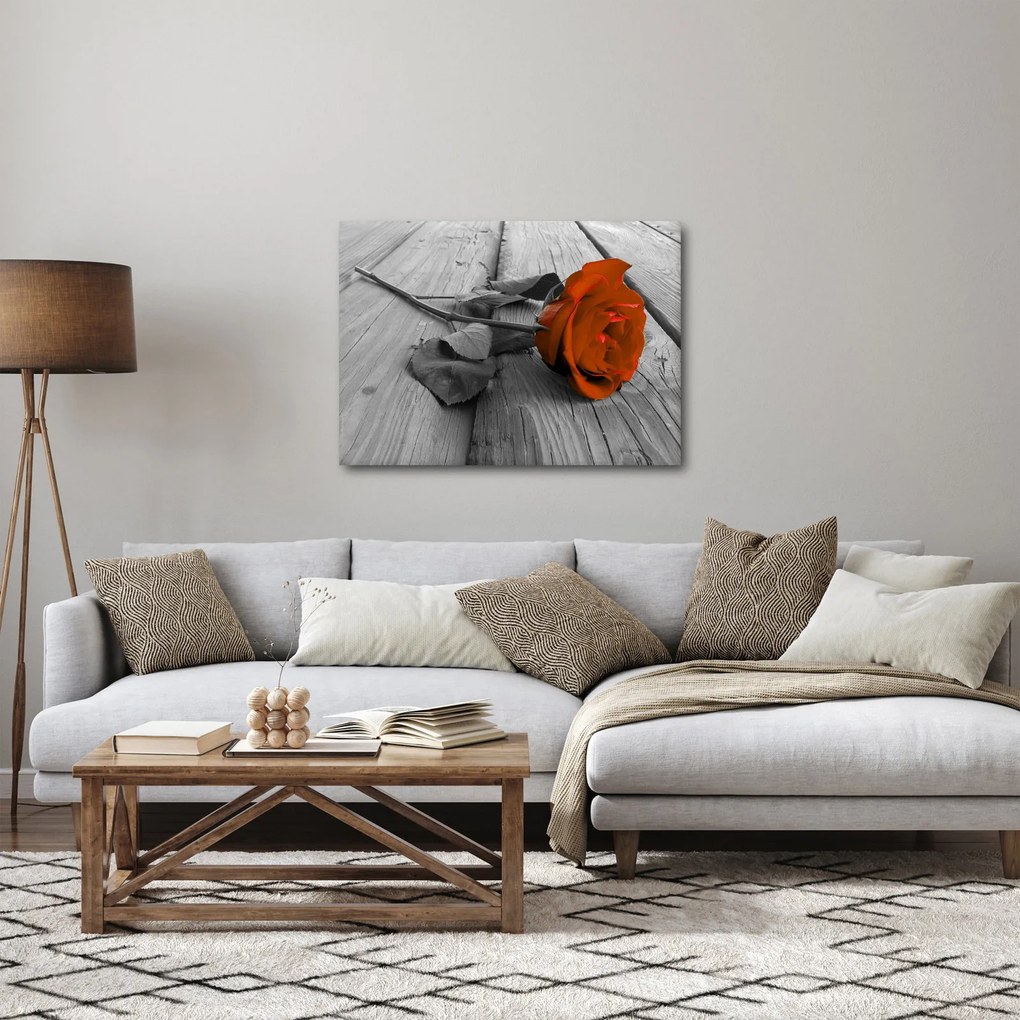 Obraz - Pomarańczowa róża (70x50 cm)