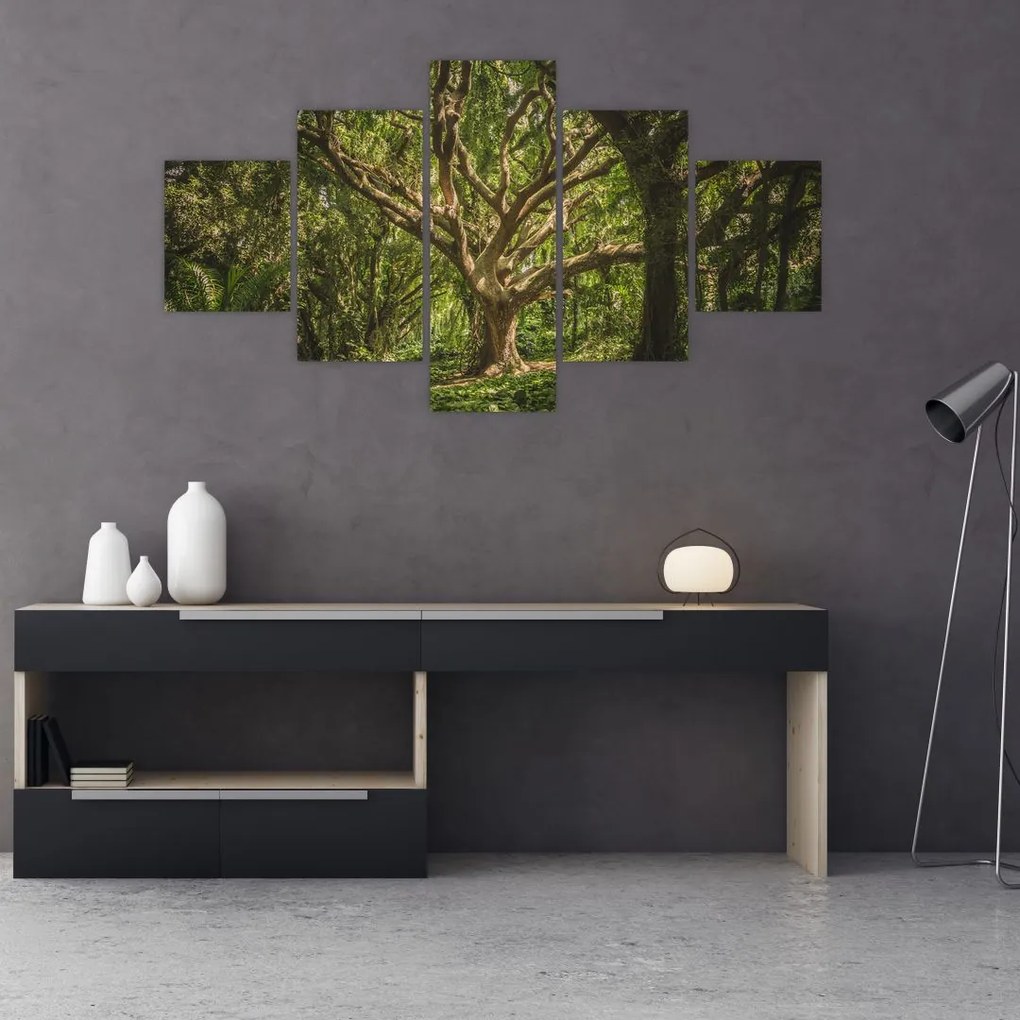 Obraz drzewa (125x70 cm)