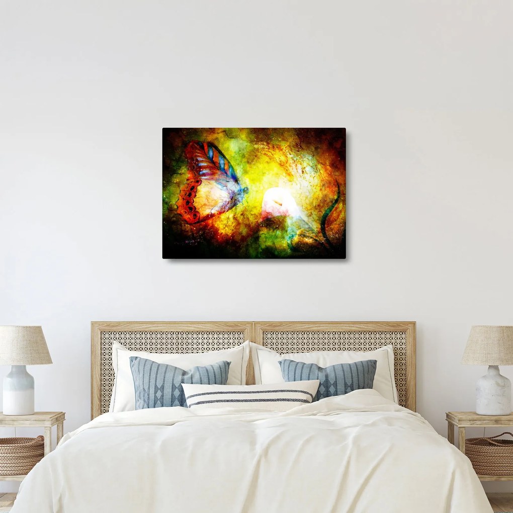 Obraz - Kosmiczny motyl (70x50 cm)