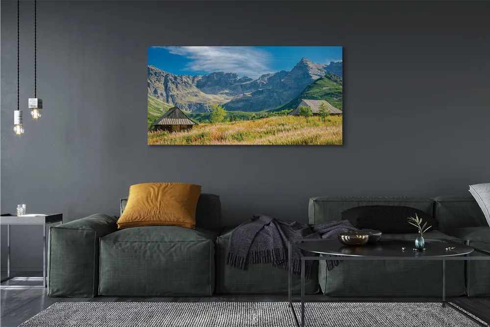 Zdjęcie na płótnie Góry, Pola i Domki