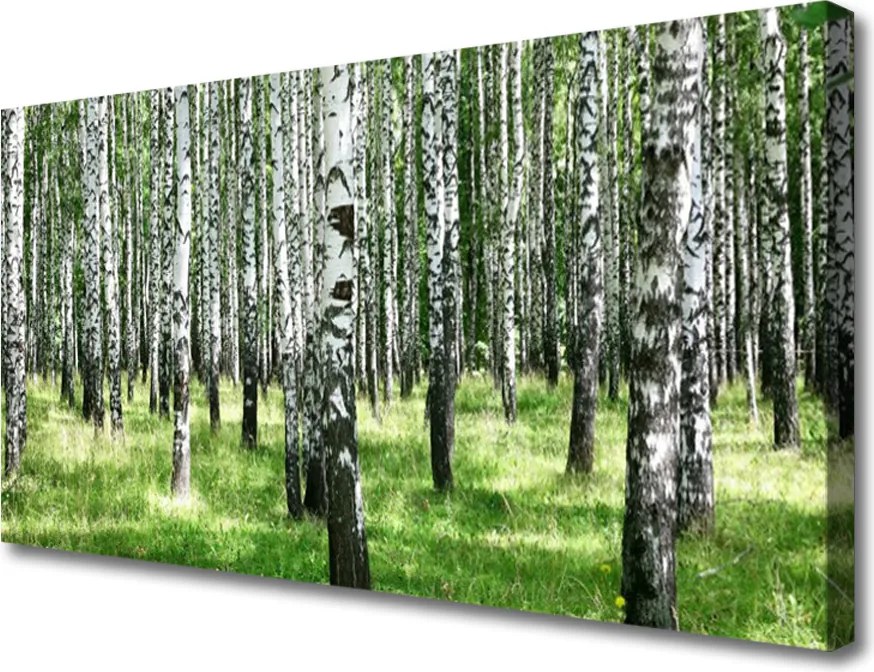 Obraz canvas Leśna Gęstwina i Trawy