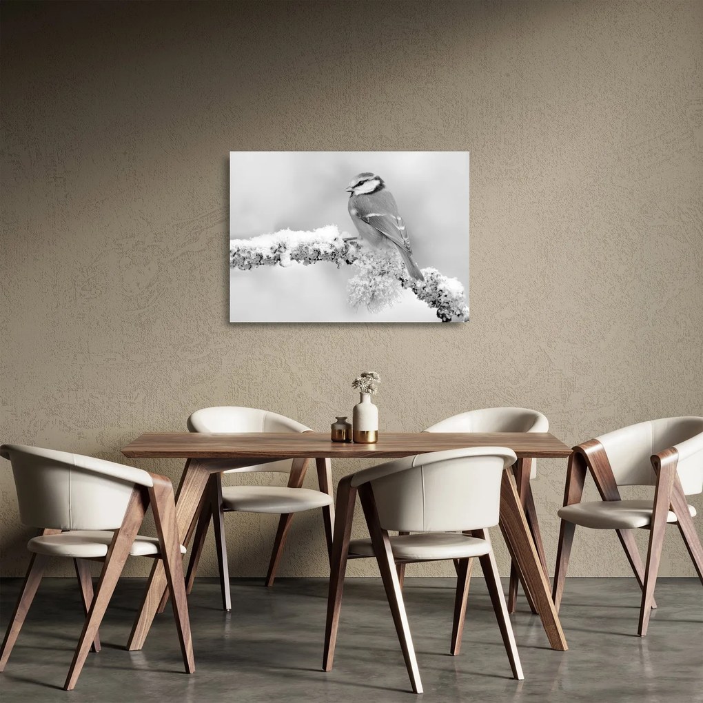 Obraz na szkle - Ptak na gałęzi (70x50 cm)
