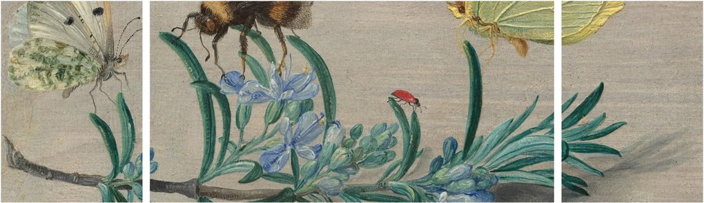 Obraz - Jan van Kessel the Elder, Insects and a Sprig of Rosemary, reprodukcje (170x50 cm)