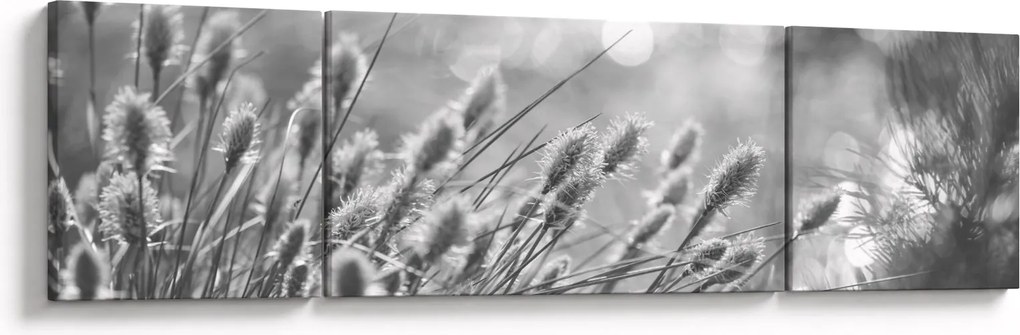 Obraz - Beżowa miękka trawa N⁰1 (170x50 cm)