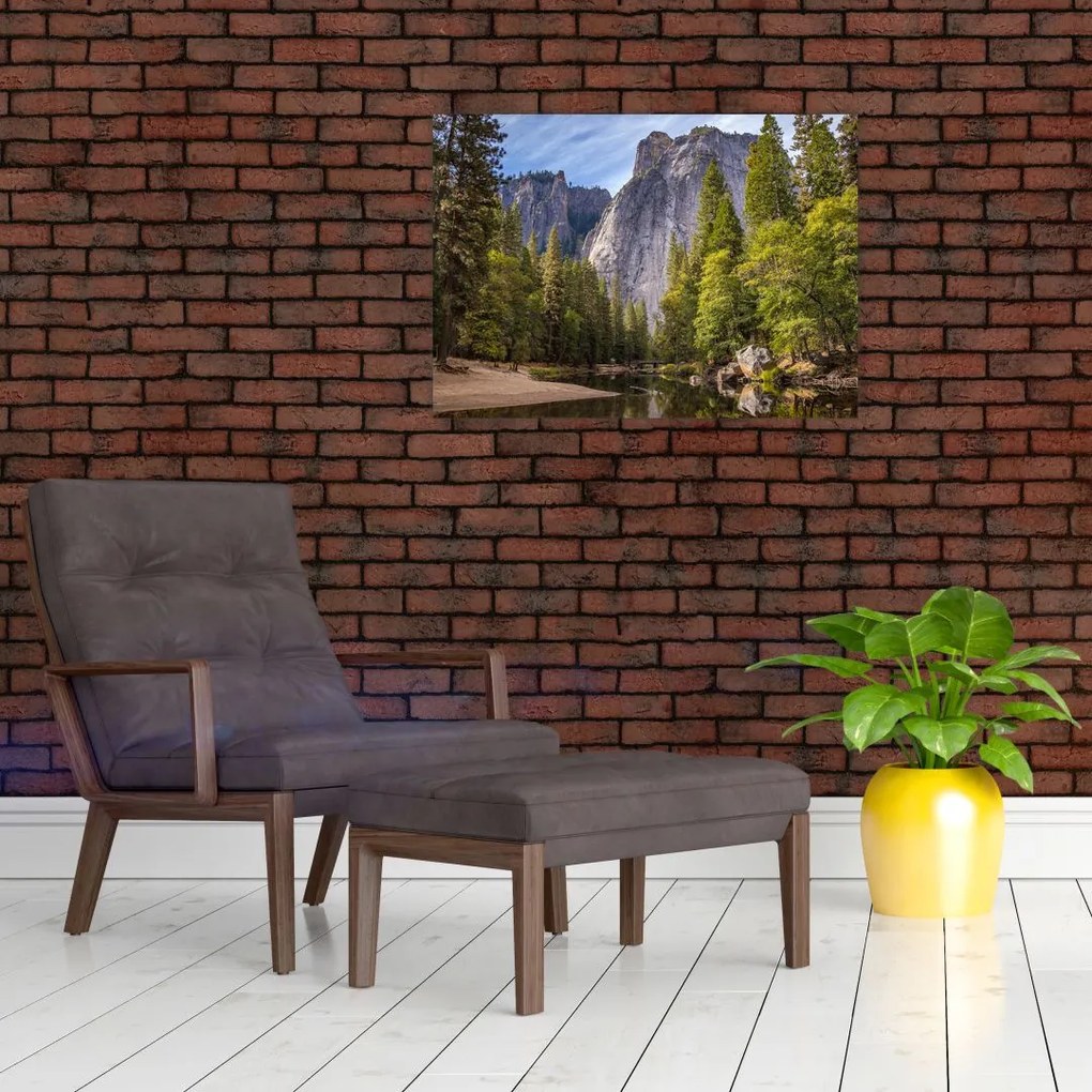 Obraz na szkle - Pod Yosemite Rock (70x50 cm)