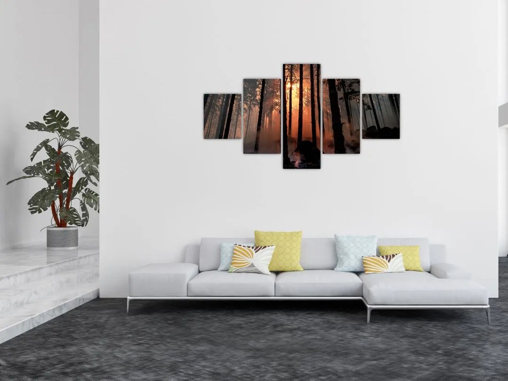 Obraz ciemnego lasu (125x70 cm)