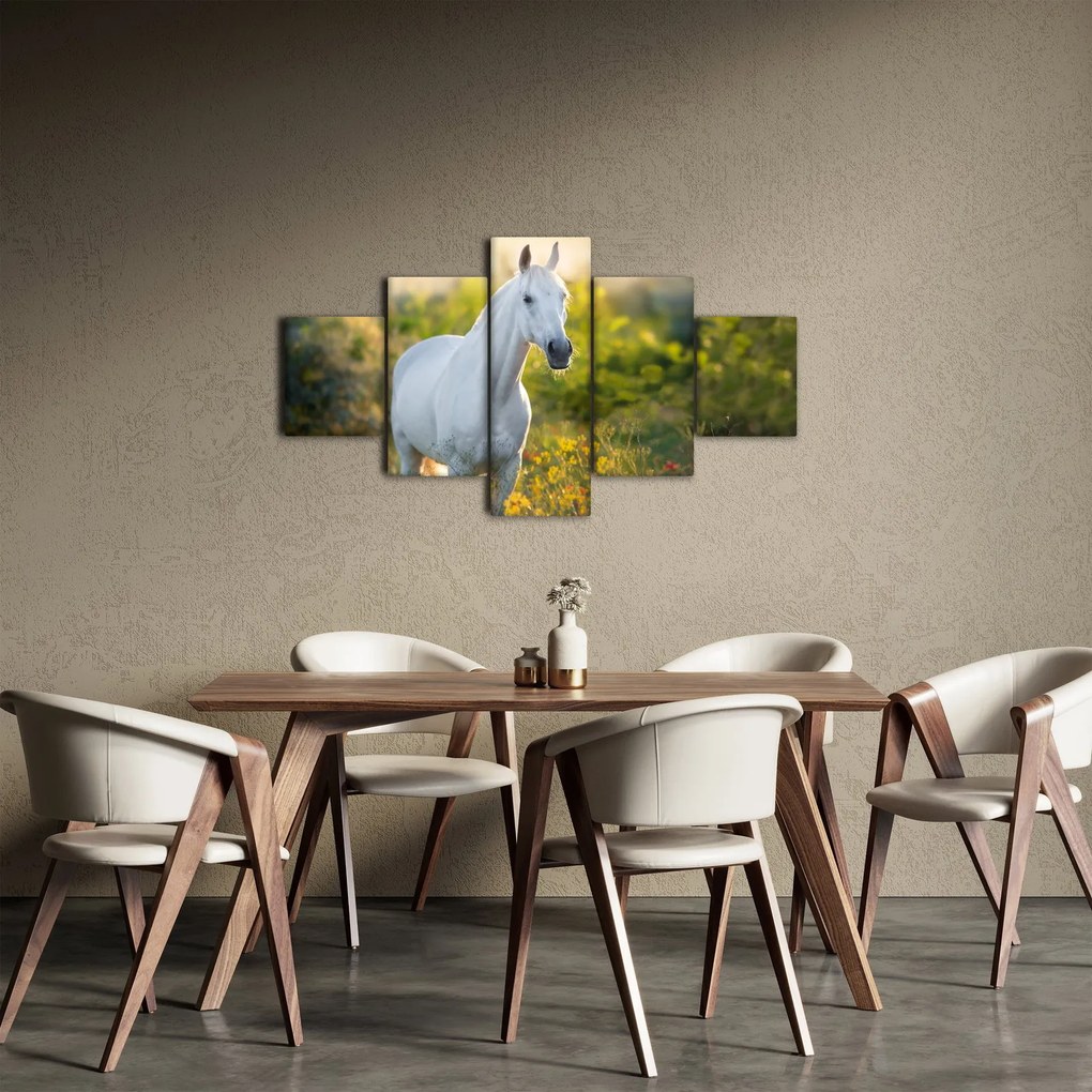 Obraz białego konia na łące (125x70 cm)